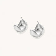 Brushed Silver Studs by AlbaLuxe AlbaLuxe