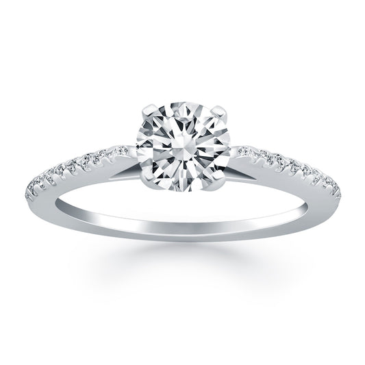 14k White Gold Micro Prong Diamond Cathedral Engagement Ring RCJ